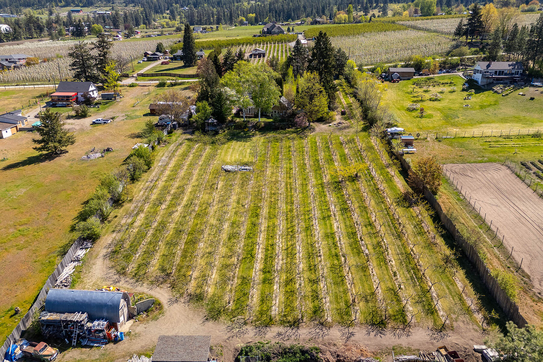  2.63 Acres in Oyama - 物件實景