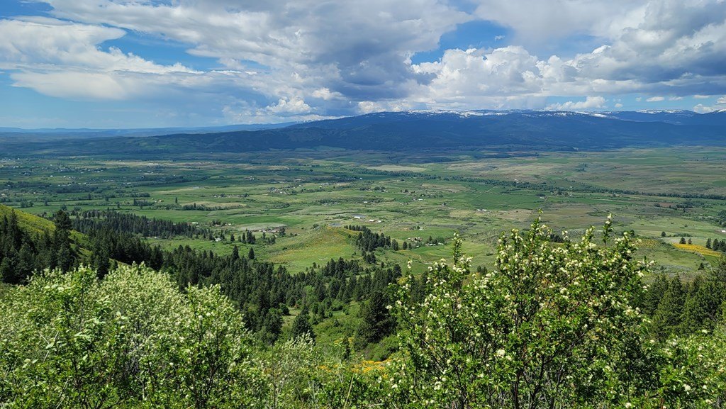 Council, Idaho, 83612, United States, 3 Bedrooms Bedrooms, ,2 BathroomsBathrooms,Residential,For Sale,1980798