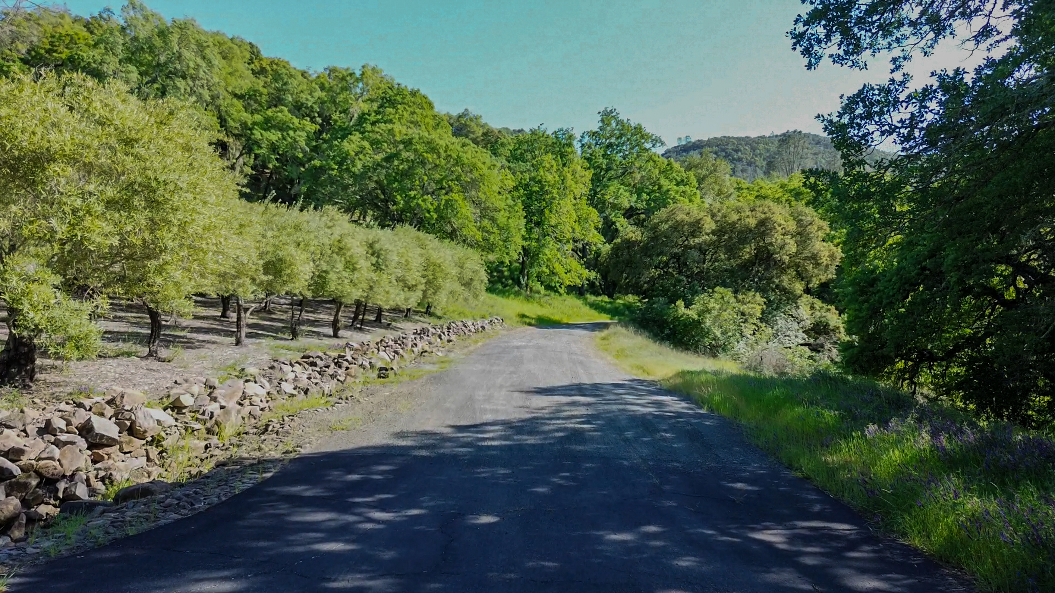  40 Long Ranch Road - 物件實景