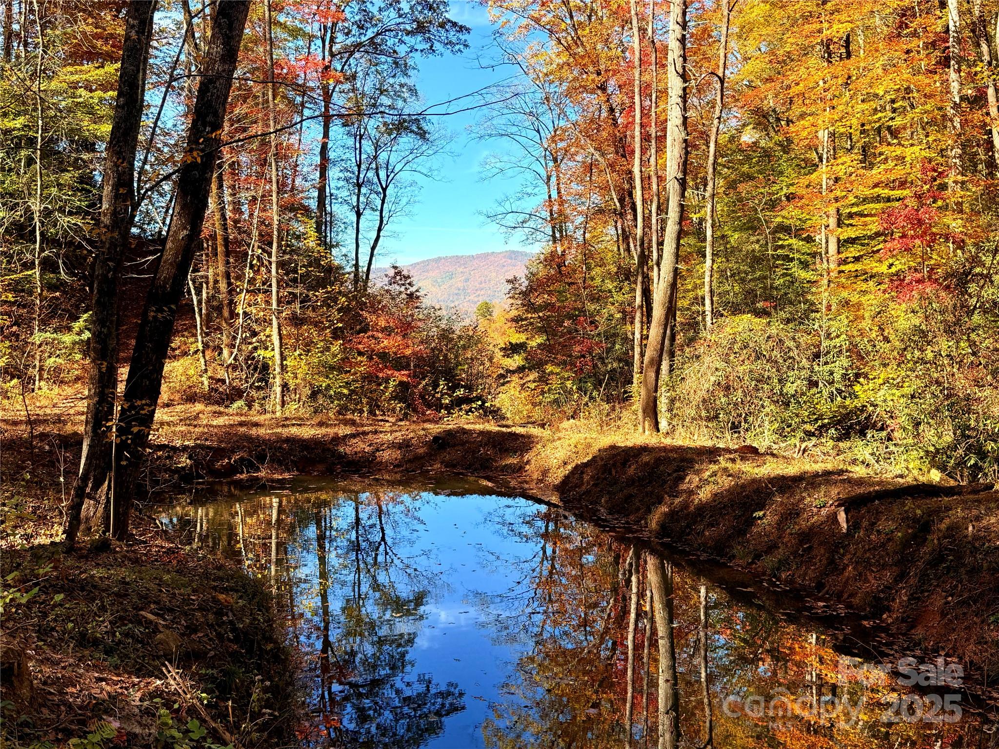 Union Mills, North Carolina, 28167, United States, ,Land,For Sale,2002836