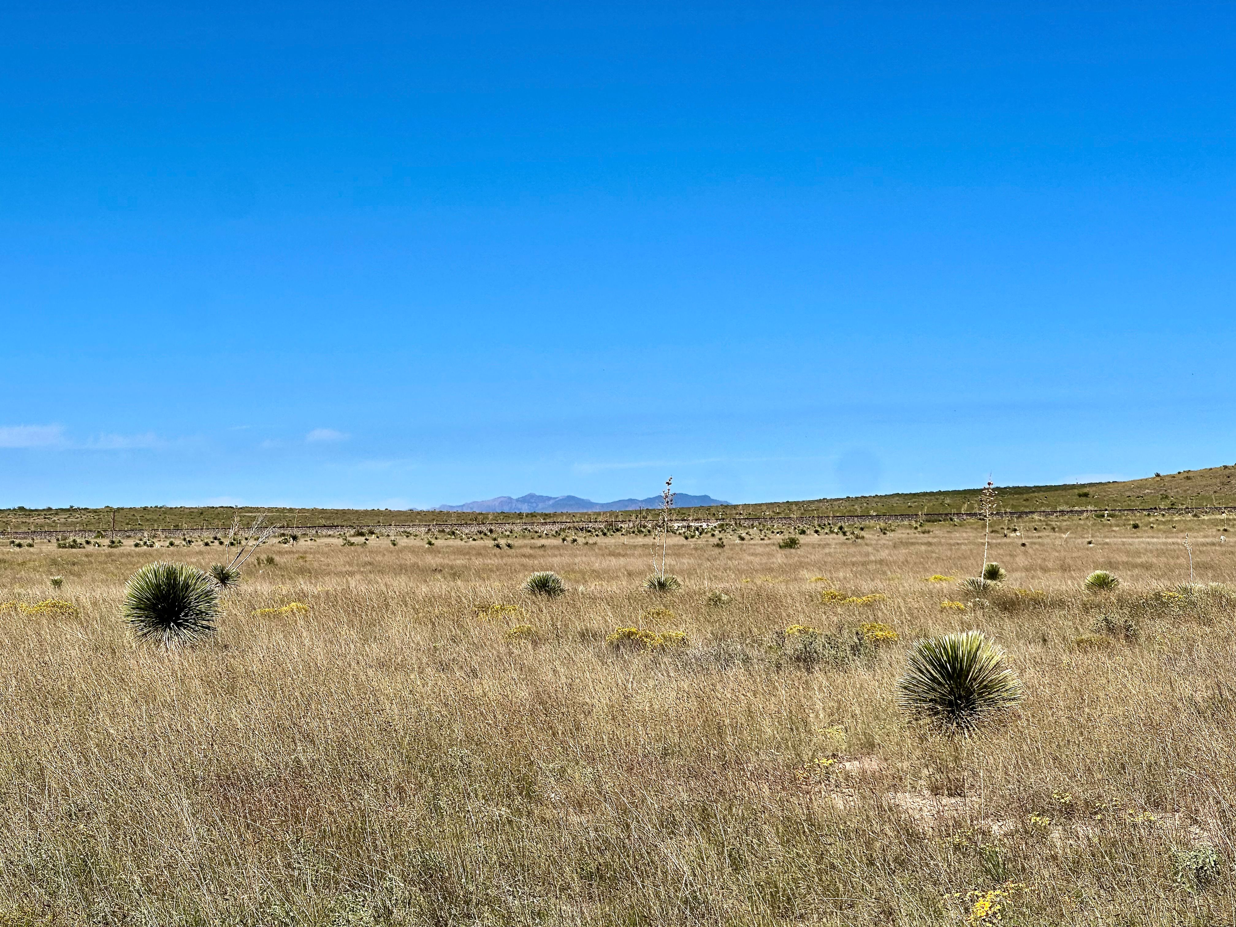  18311 Hwy 90, Marfa, TX 79843 - 物件實景