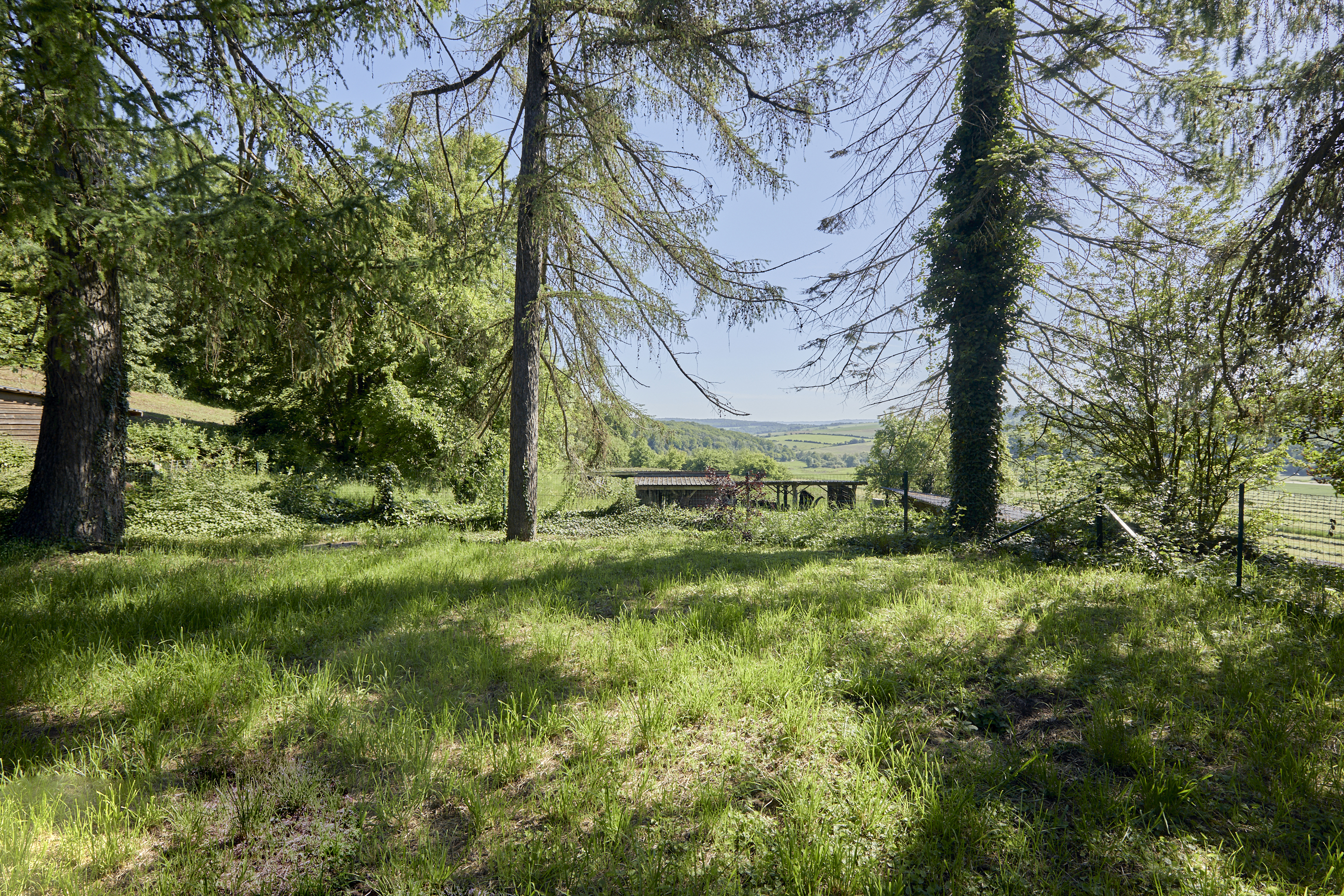  Domaine privé à Manternach - 物件實景