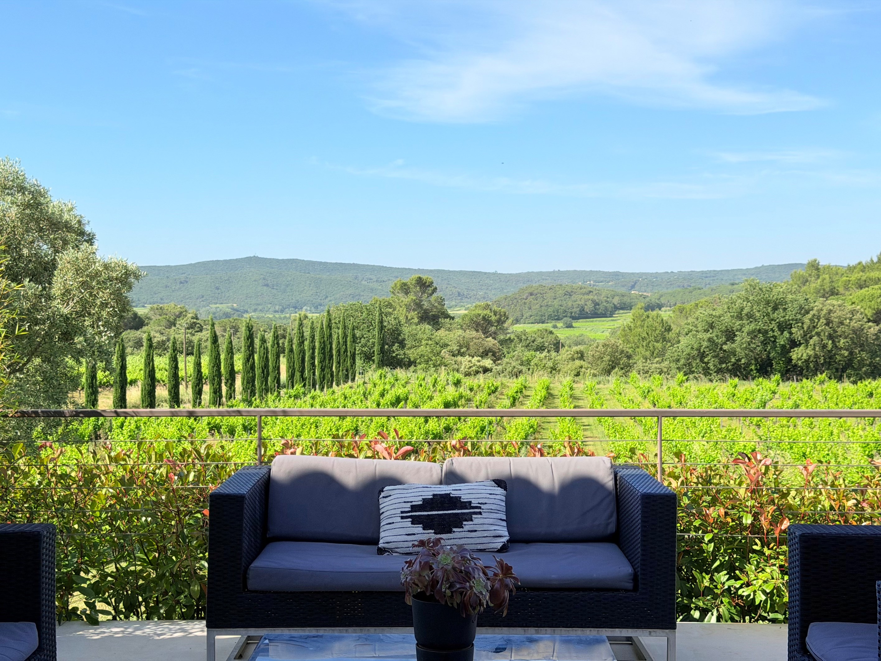  Elegant contemporary villa in the heart of the vineyards, 20 minutes from Uzès,… - 物件實景