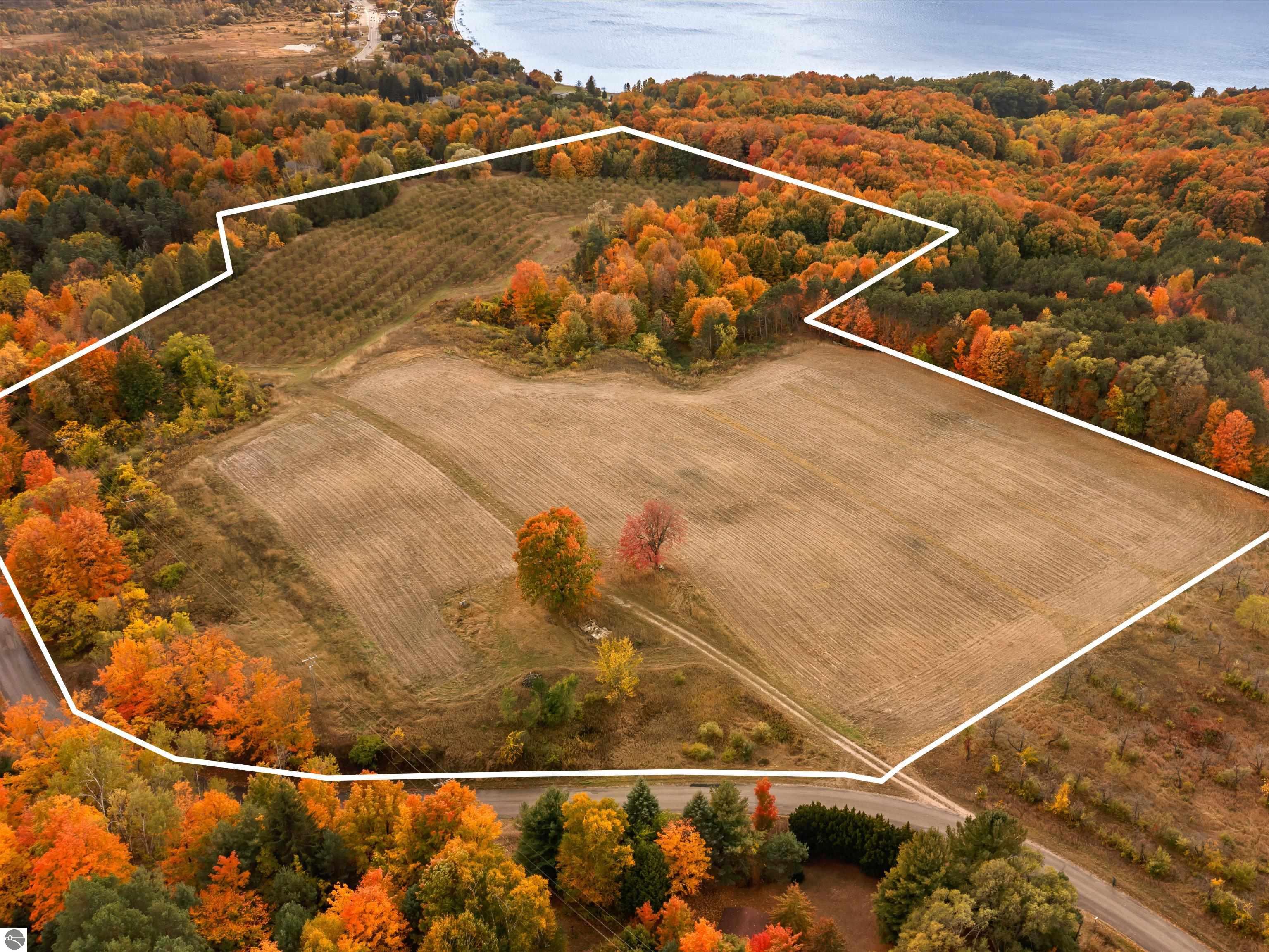 Beulah, Michigan, 49617, United States, ,Land,For Sale,1938552