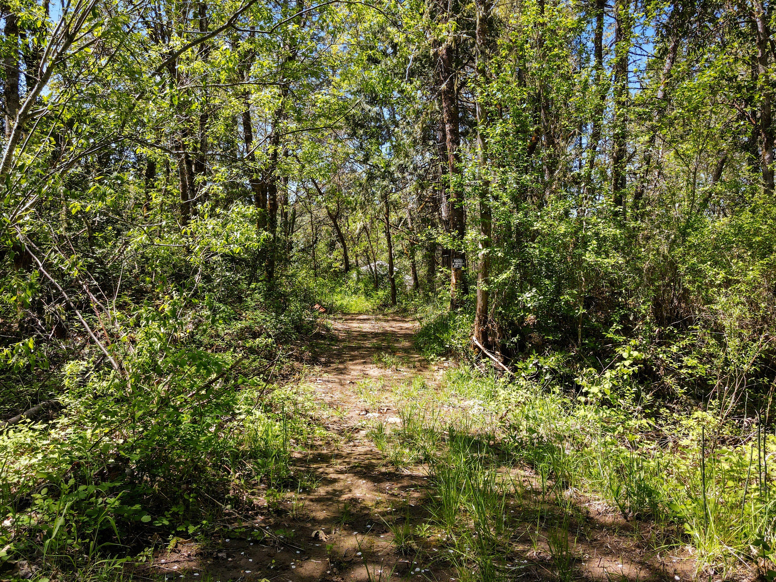Cave Junction, Oregon, 97523, United States, 3 Bedrooms Bedrooms, ,2 BathroomsBathrooms,Residential,For Sale,1920593