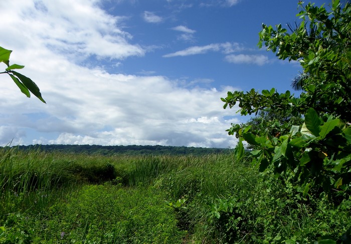 Cabarete, DO, ,Land,For Sale,1627535