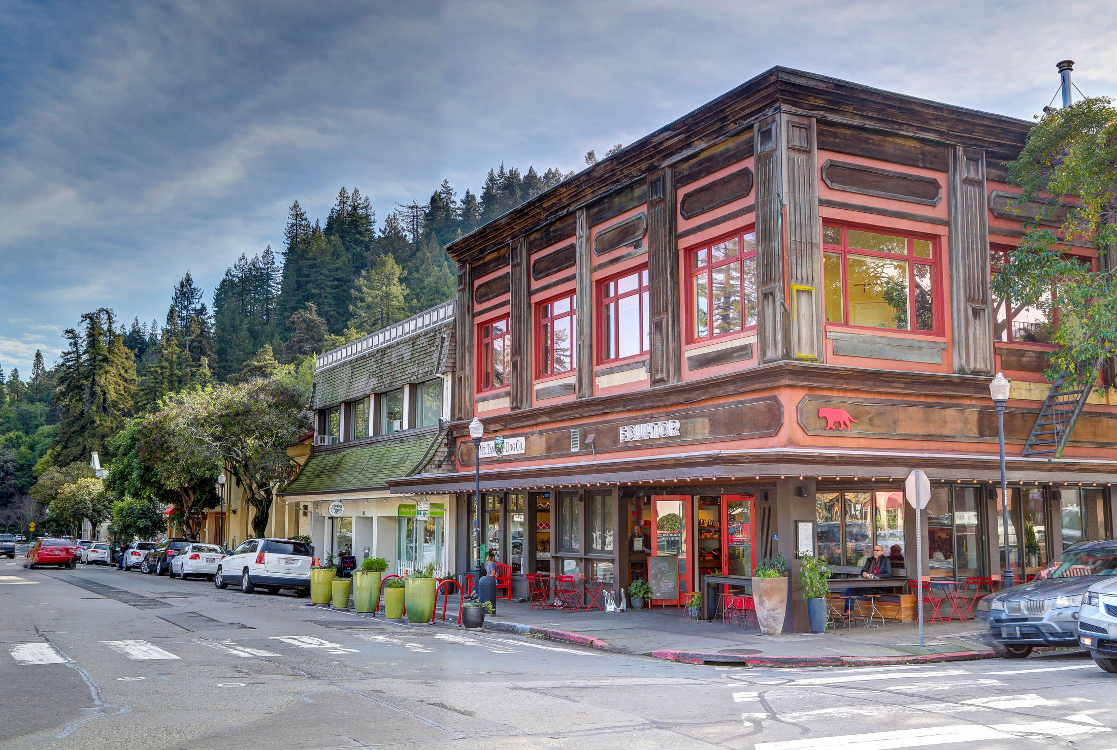  Timeless Contemporary Mill Valley Home - 物件實景