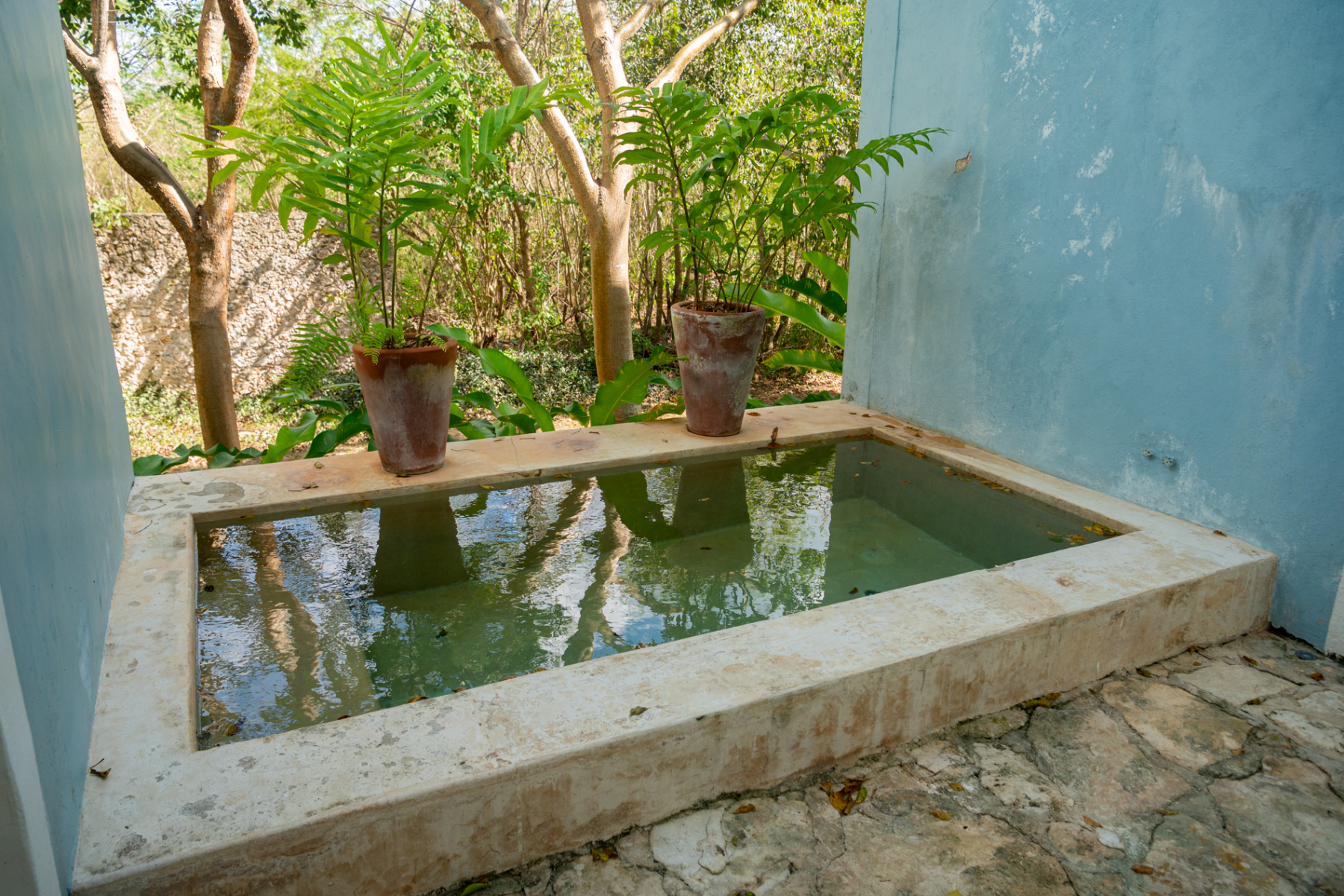  HACIENDA SERENITY OASIS RETREAT IN YUCATAN - 物件實景