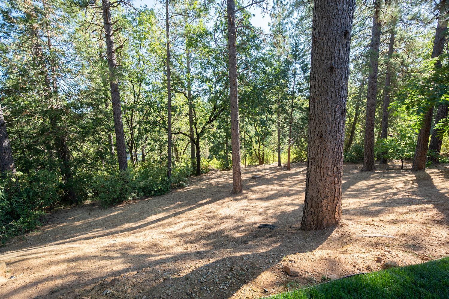 Placerville, California, 95667, United States, 3 Bedrooms Bedrooms, ,3 BathroomsBathrooms,Residential,For Sale,1937817