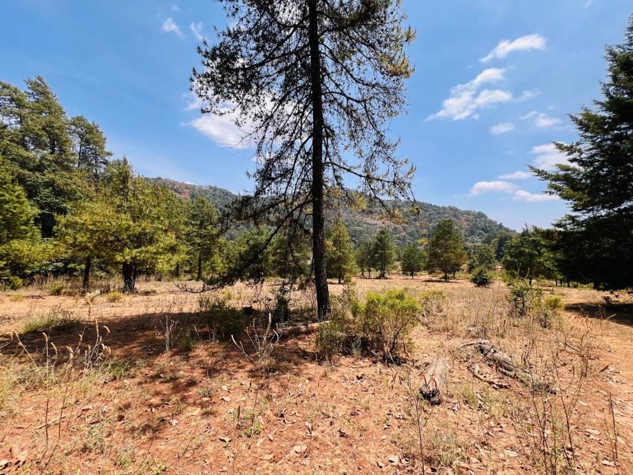 Valle de Bravo, Estado de méxico, 51200, Mexico, 1 Bedroom Bedrooms, ,Residential,For Sale,1721616
