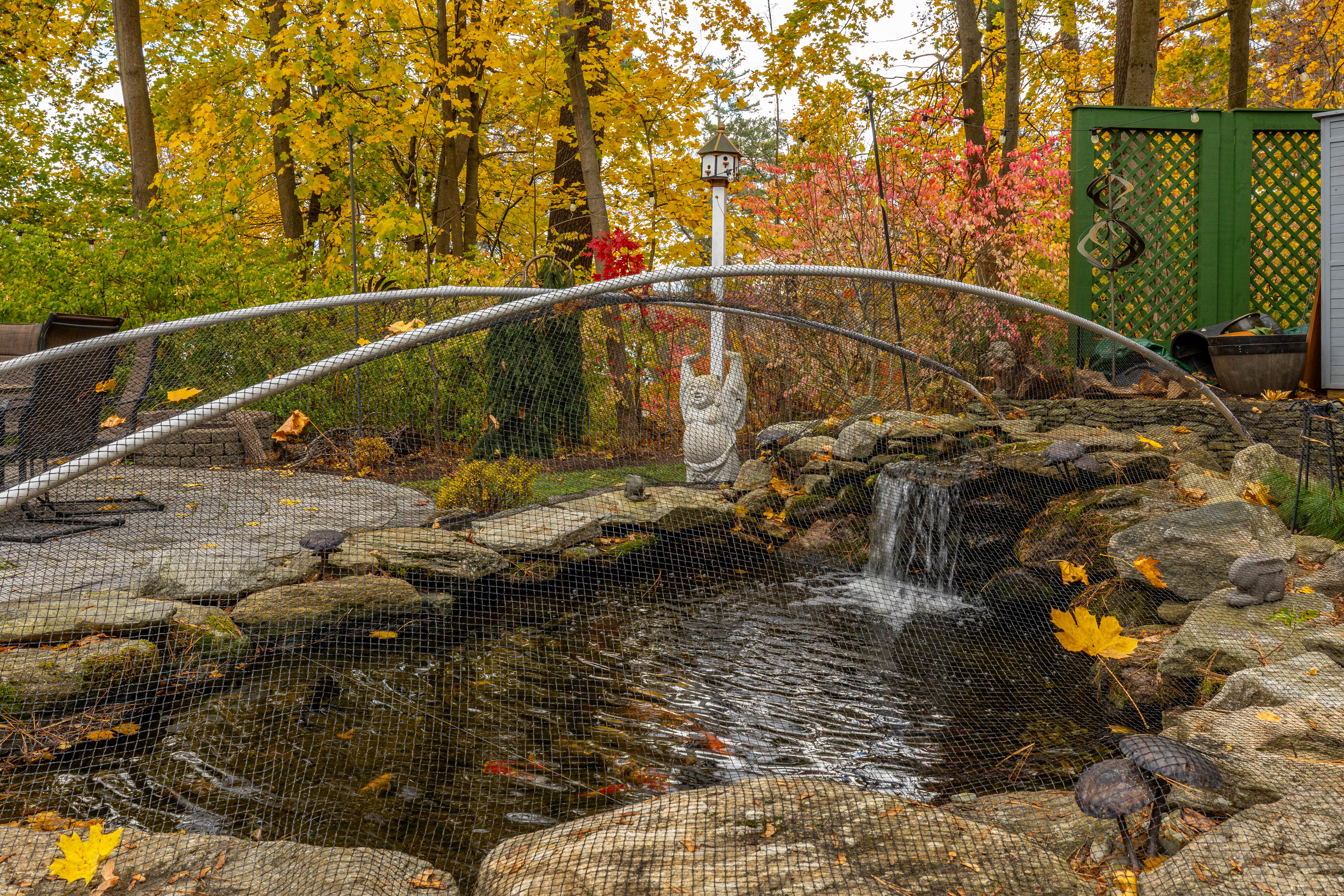  7 Hill Top Road - 物件實景