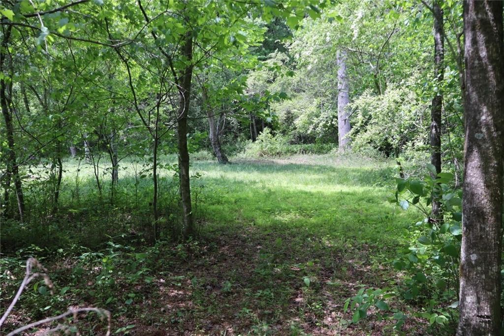 Ellijay, Georgia, 30540, United States, ,Residential,For Sale,1881390