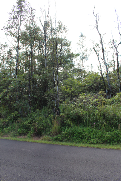 Keaau, Hawaii, 96749, United States, ,Land,For Sale,1977941