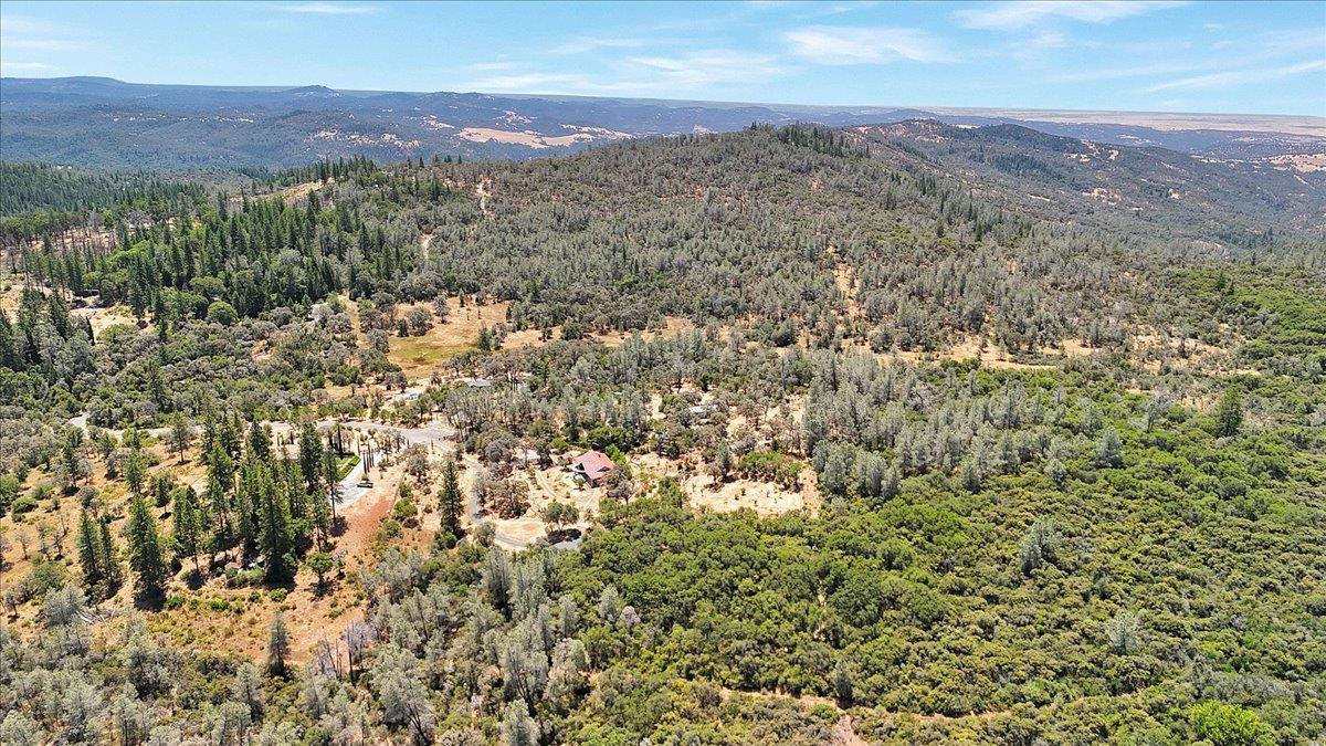 Oregon House, California, 95962, United States, ,Land,For Sale,1975767