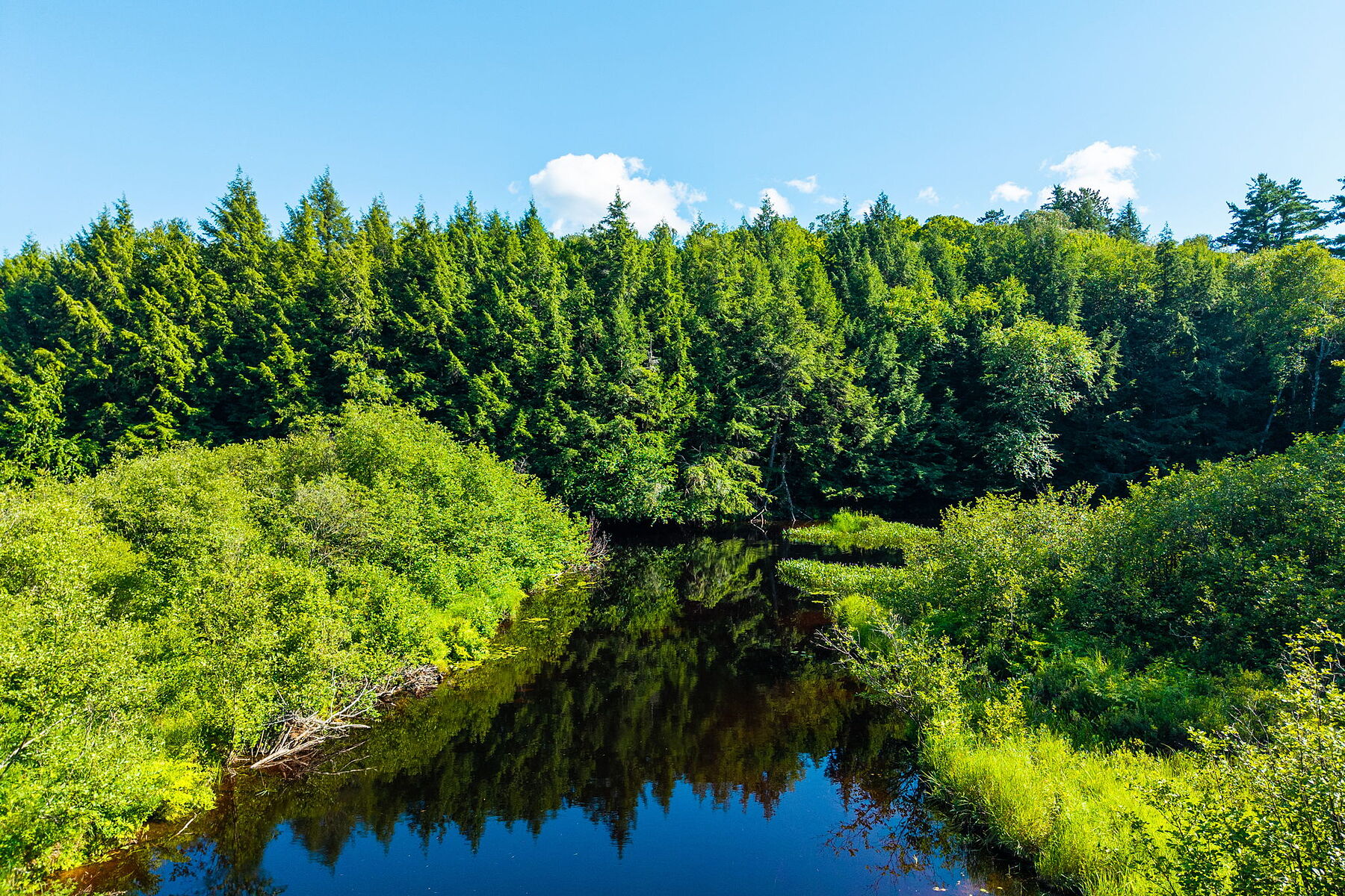  Buck River Huntsville - 物件實景
