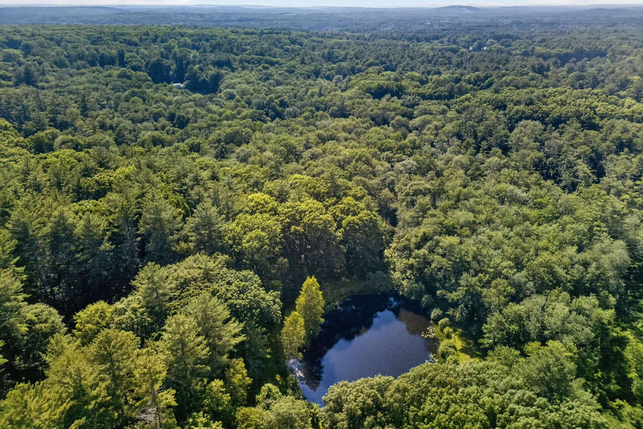  0 Judy Farm Road, Carlisle, MA, 01741 - 物件實景