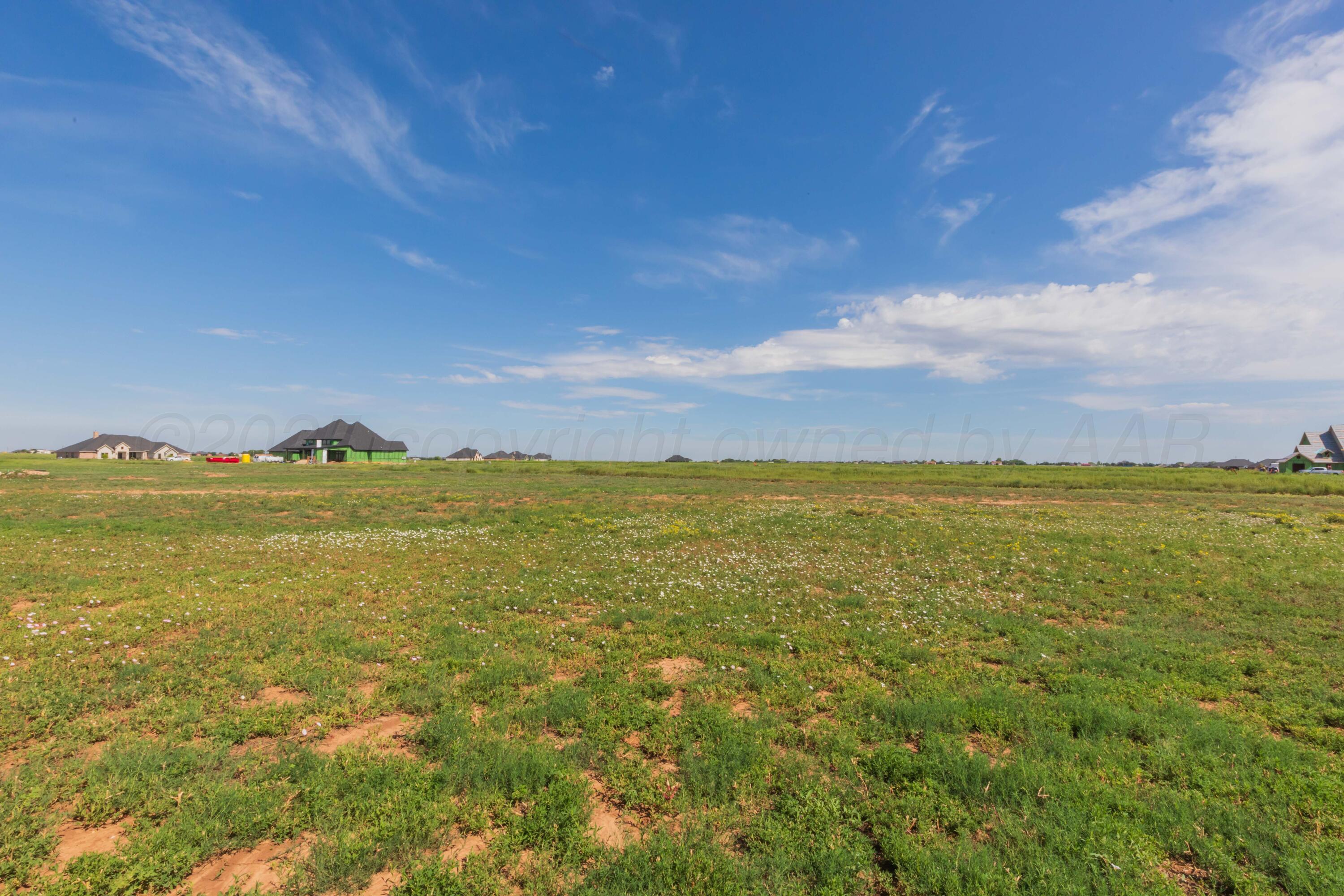 Amarillo, Texas, 79119, United States, 4 Bedrooms Bedrooms, ,4 BathroomsBathrooms,Residential,For Sale,1901664