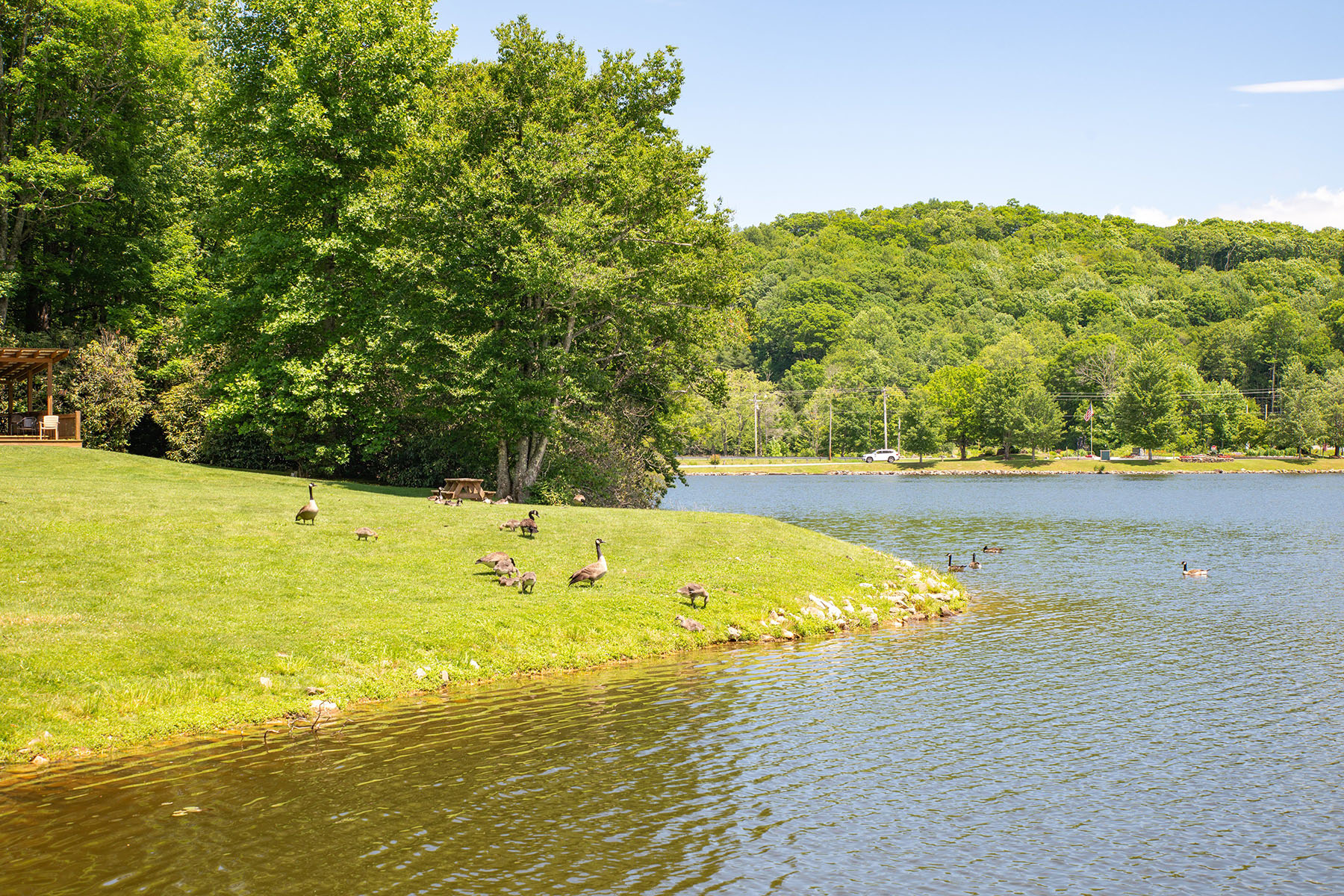  NEWLAND - LINVILLE LAND HARBOR - 物件實景