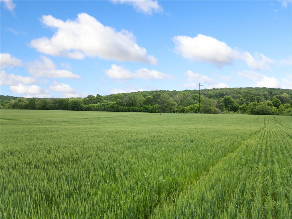 Alpena, Arkansas, 72611, United States, ,Land,For Sale,1903921