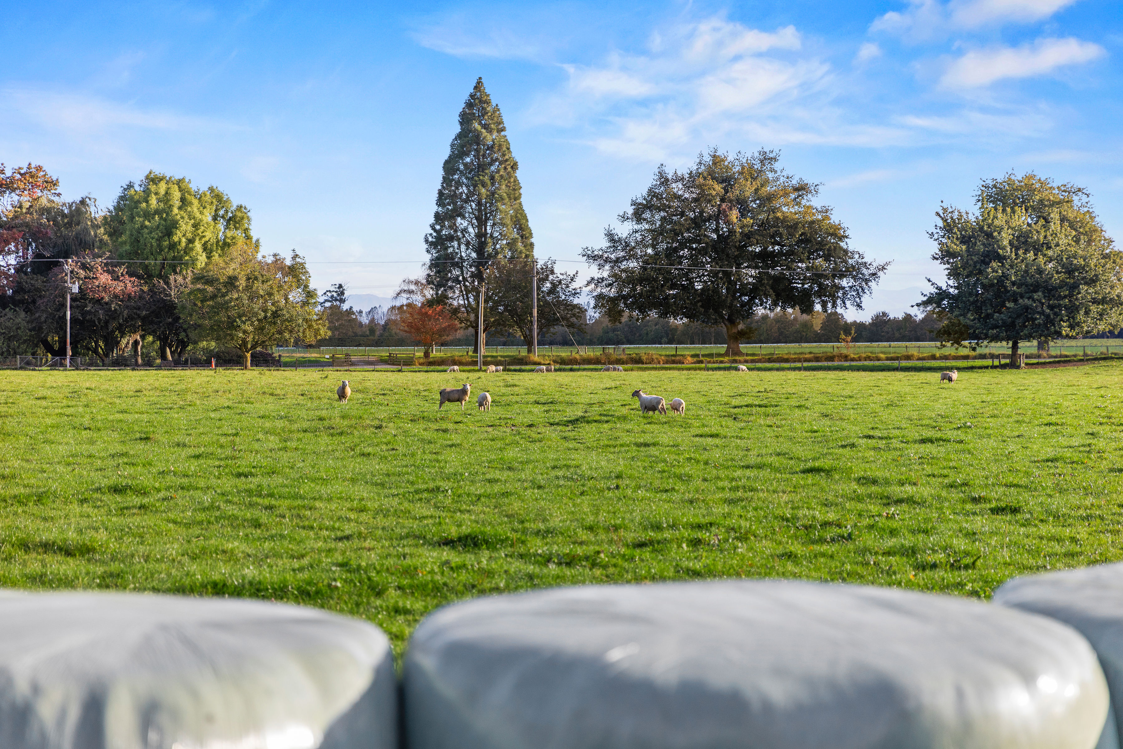  Landmark Homestead rezoned with substantial landbank - 物件實景