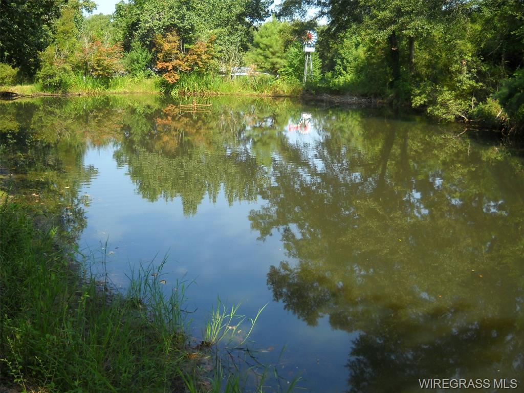 Ozark, Alabama, 36360, United States, 4 Bedrooms Bedrooms, ,2 BathroomsBathrooms,Residential,For Sale,1974163