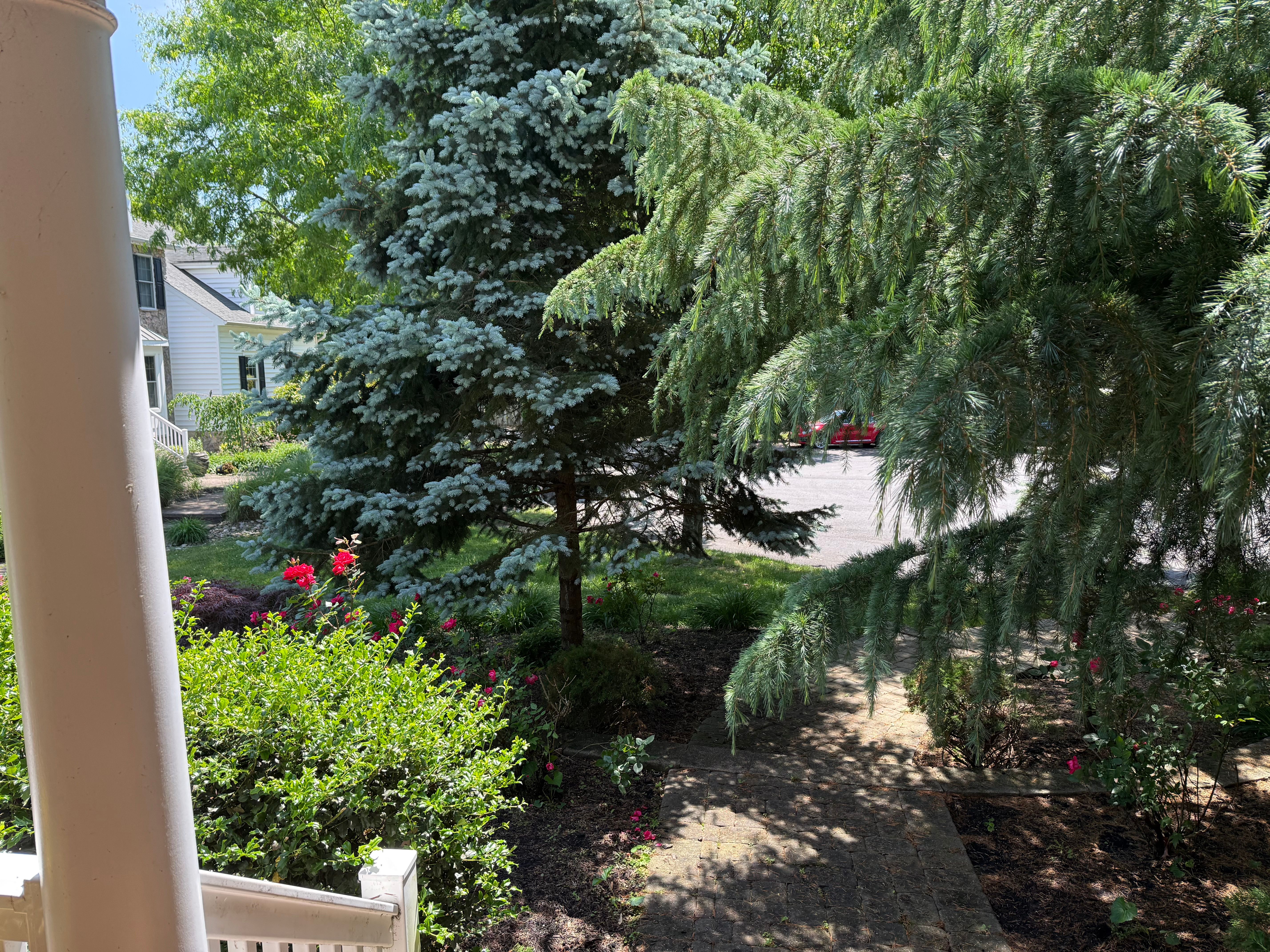  1 Barr, Linwood, NJ, 08221 - 物件實景
