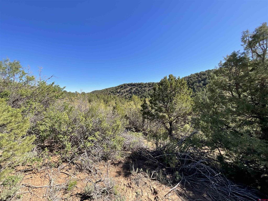 Montrose, Colorado, 81403, United States, ,Land,For Sale,1919926