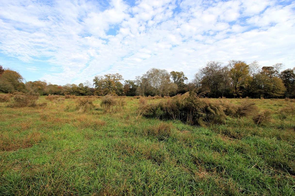 Bowdon, Georgia, 30108, United States, ,Land,For Sale,1989904