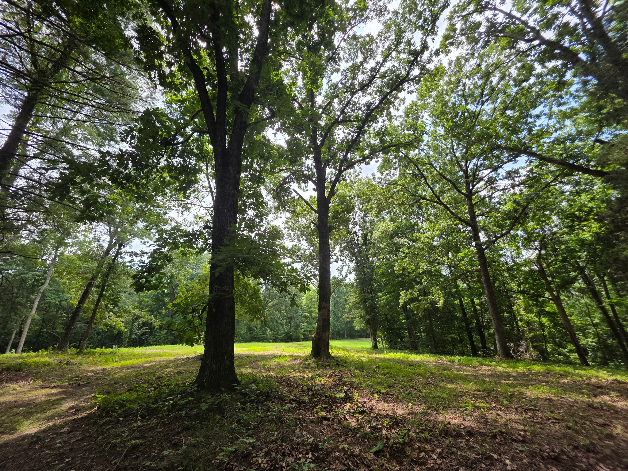 Cunningham, Tennessee, 37052, United States, ,Residential,For Sale,1920443