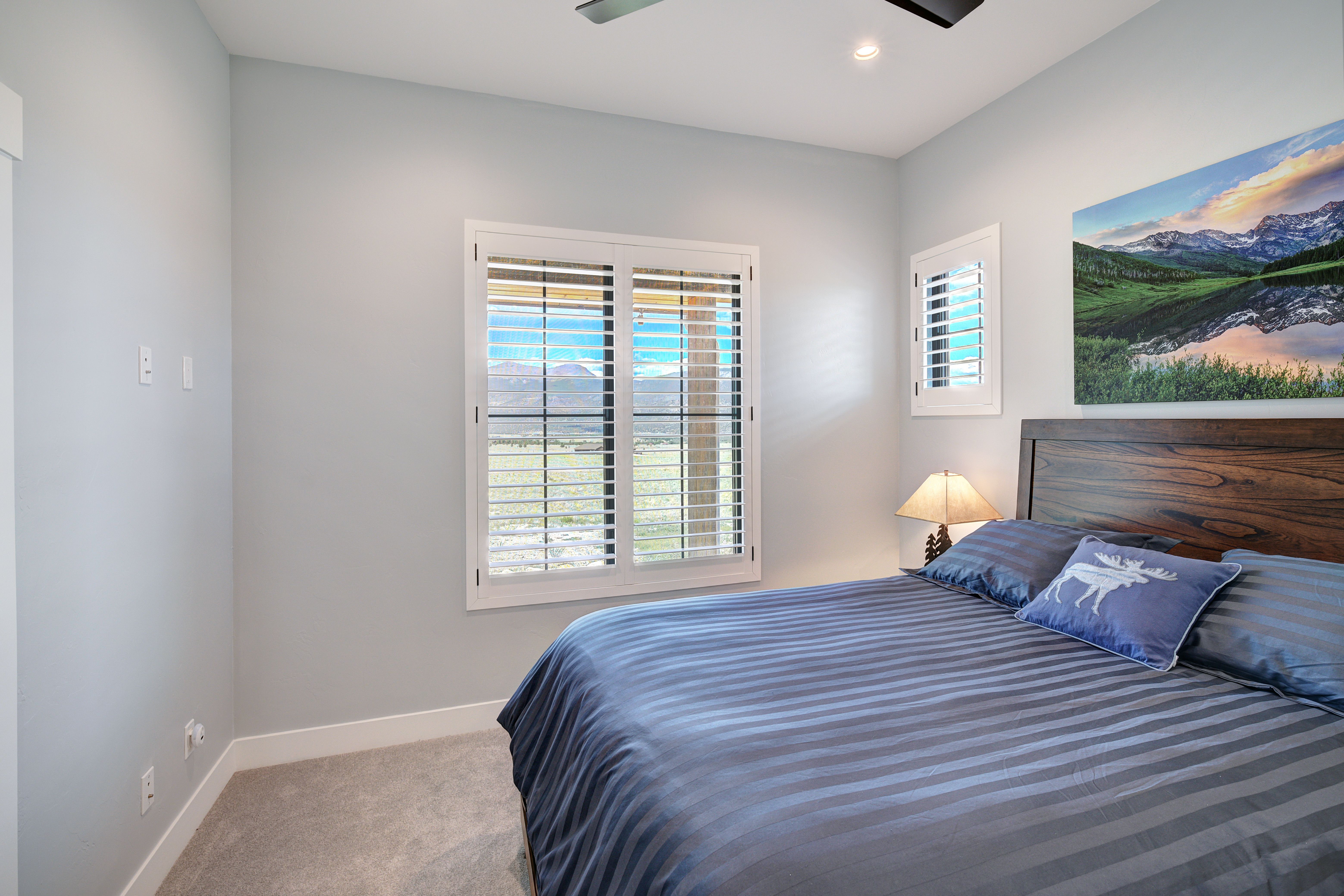 31307 Great Peaks Drive, Buena Vista, CO 81211 - 物件實景