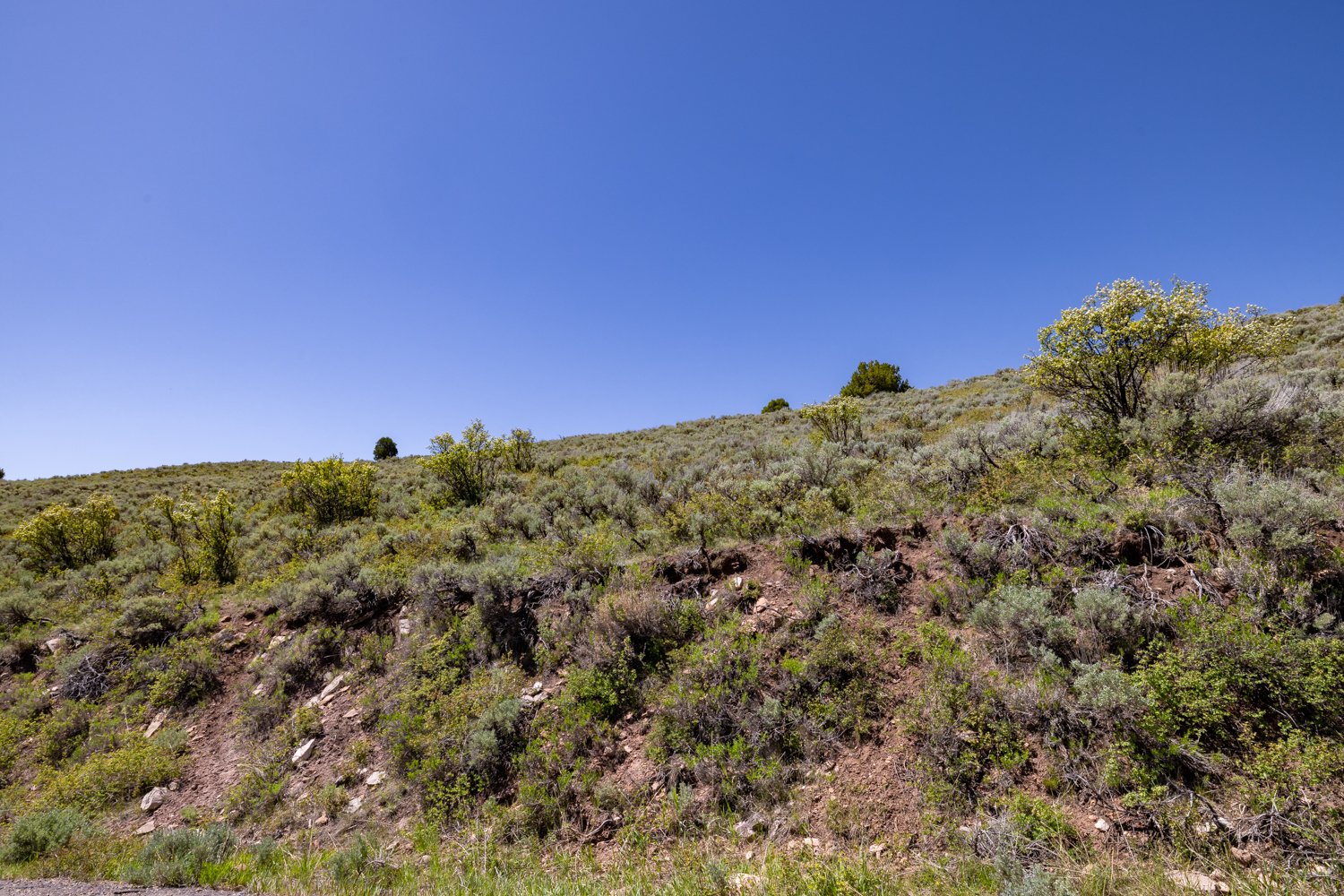 Lapoint, Utah, 84039, United States, ,Land,For Sale,1977386
