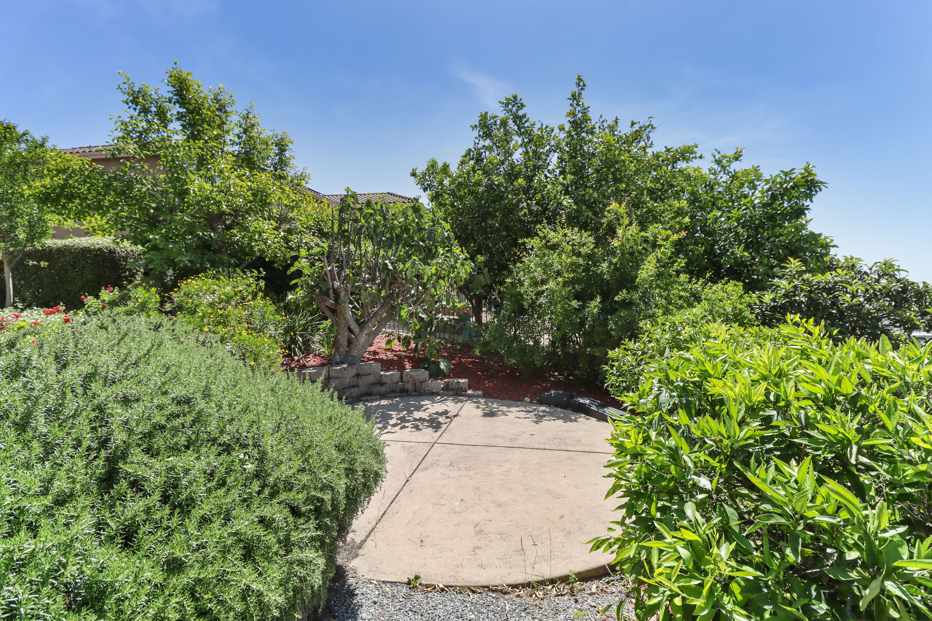  1294 Souza Drive, El Dorado Hills, CA 95762 - 物件實景