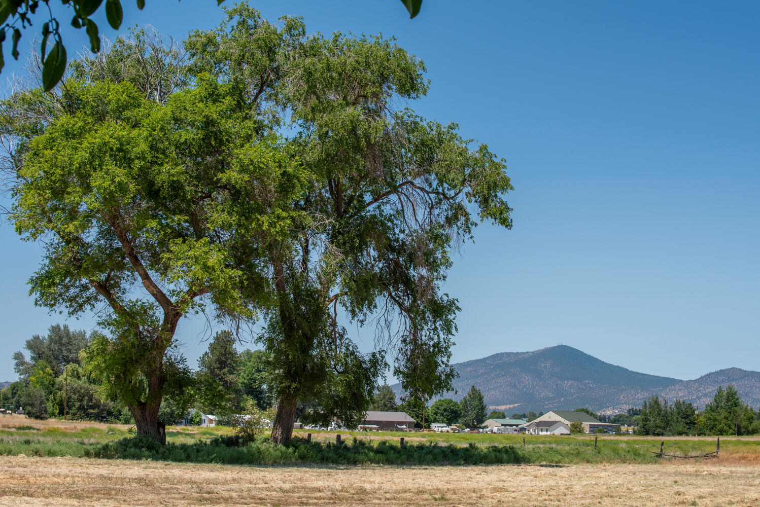 TBD Hwy 26, Prineville, Oregon, 97754, United States, ,Land,For Sale,TBD Hwy 26,1588989