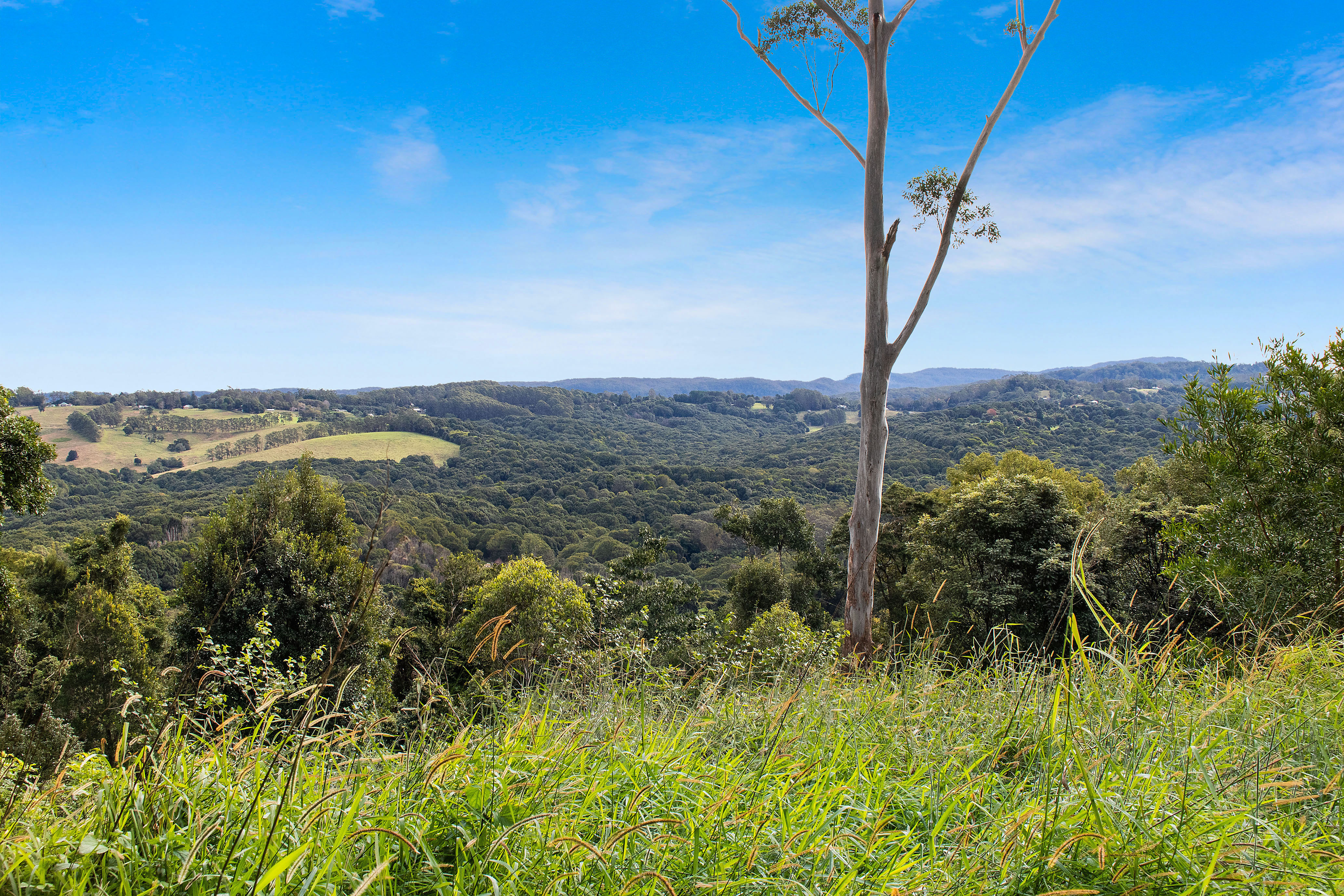  43 Newes Road, Coorabell - 物件實景