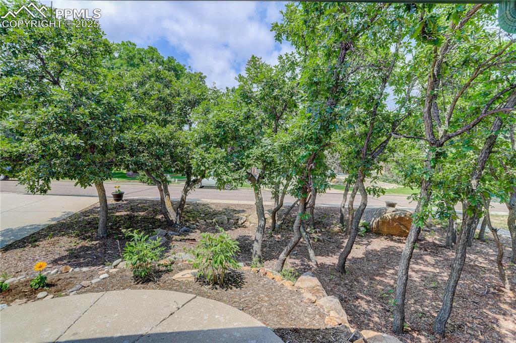 Colorado Springs, Colorado, 80906, United States, 4 Bedrooms Bedrooms, ,4 BathroomsBathrooms,Residential,For Sale,1906884