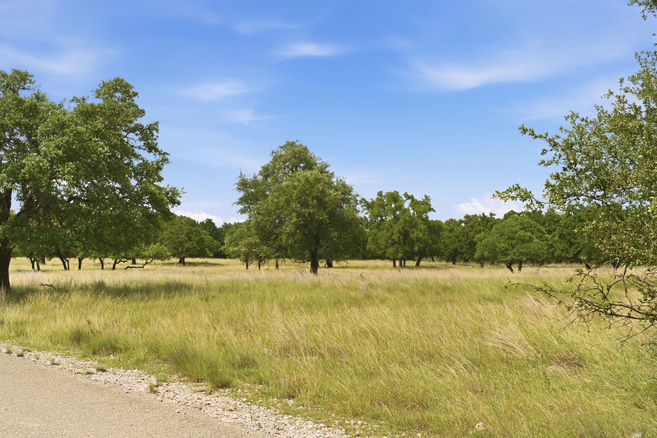  CavaLoma Ranch in Kerr COunty - 物件實景