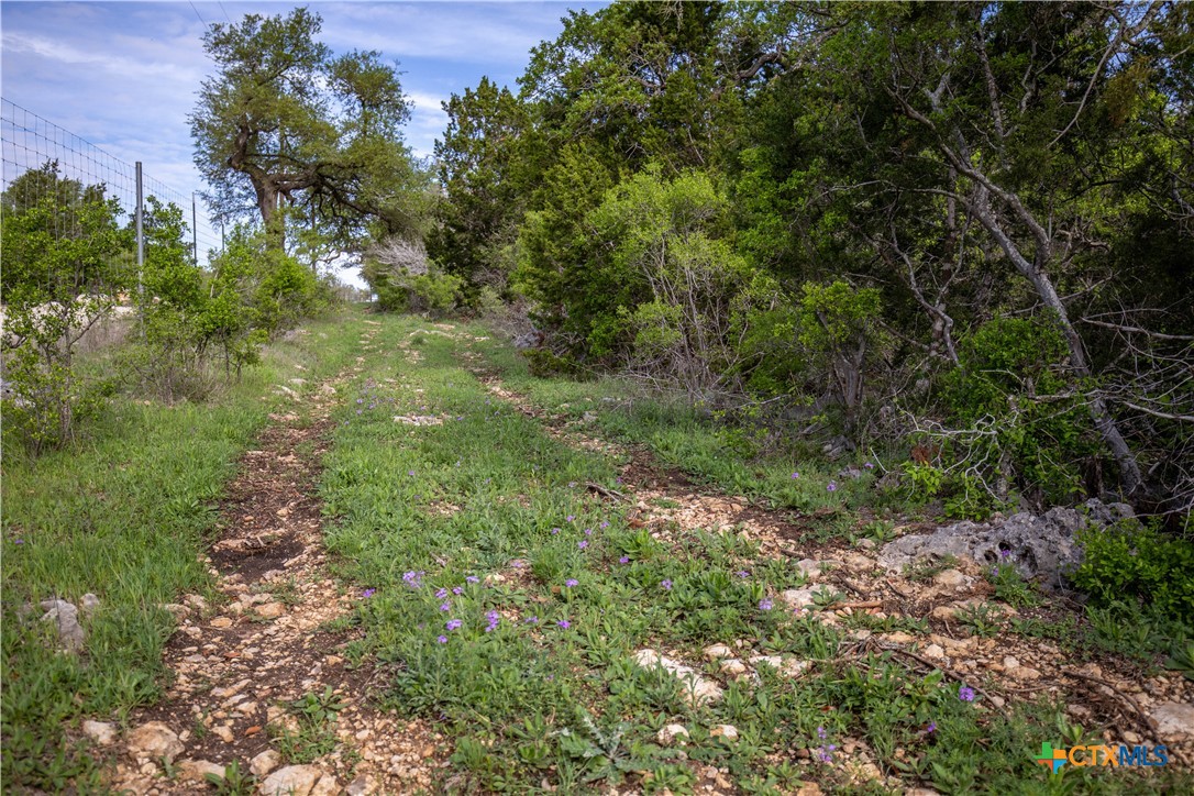 San Marcos, Texas, 78666, United States, ,Land,For Sale,1990898