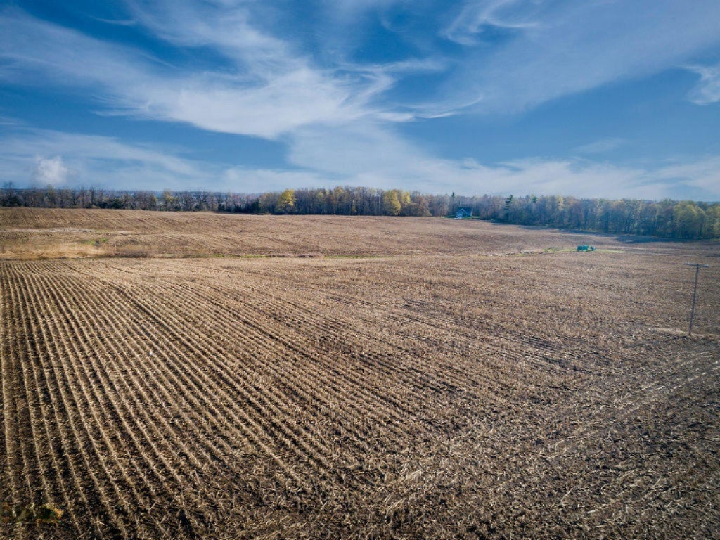 Big Rapids, Michigan, 49307, United States, ,Land,For Sale,1942209