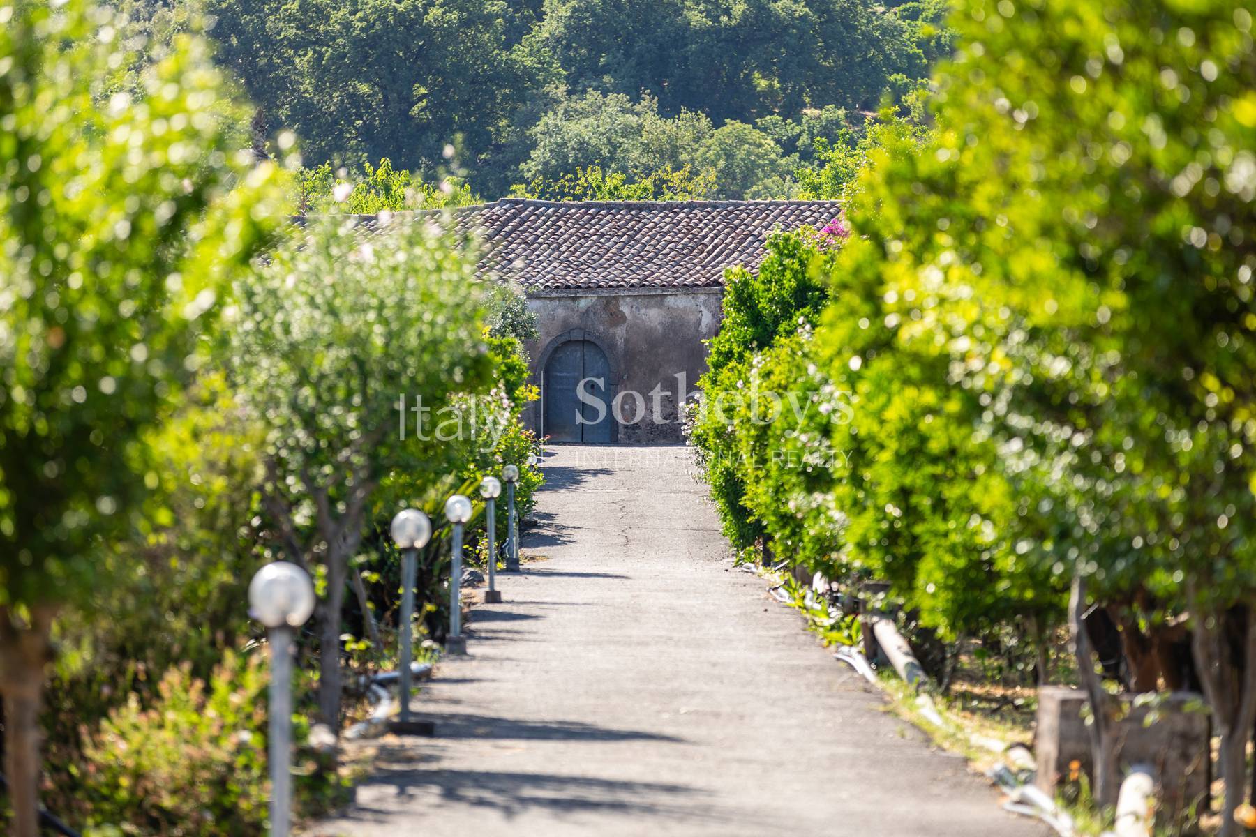  An authentic Sicilian residence among citrus groves, the sea and Mount Etna - 物件實景