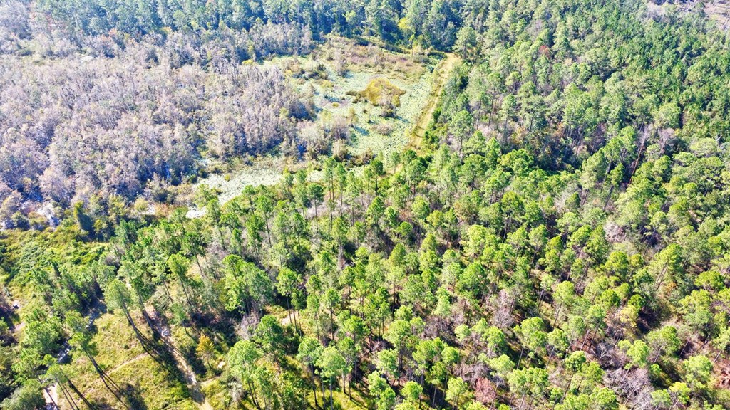 Valdosta, Georgia, 31601, United States, 4 Bedrooms Bedrooms, ,3 BathroomsBathrooms,Residential,For Sale,1980775