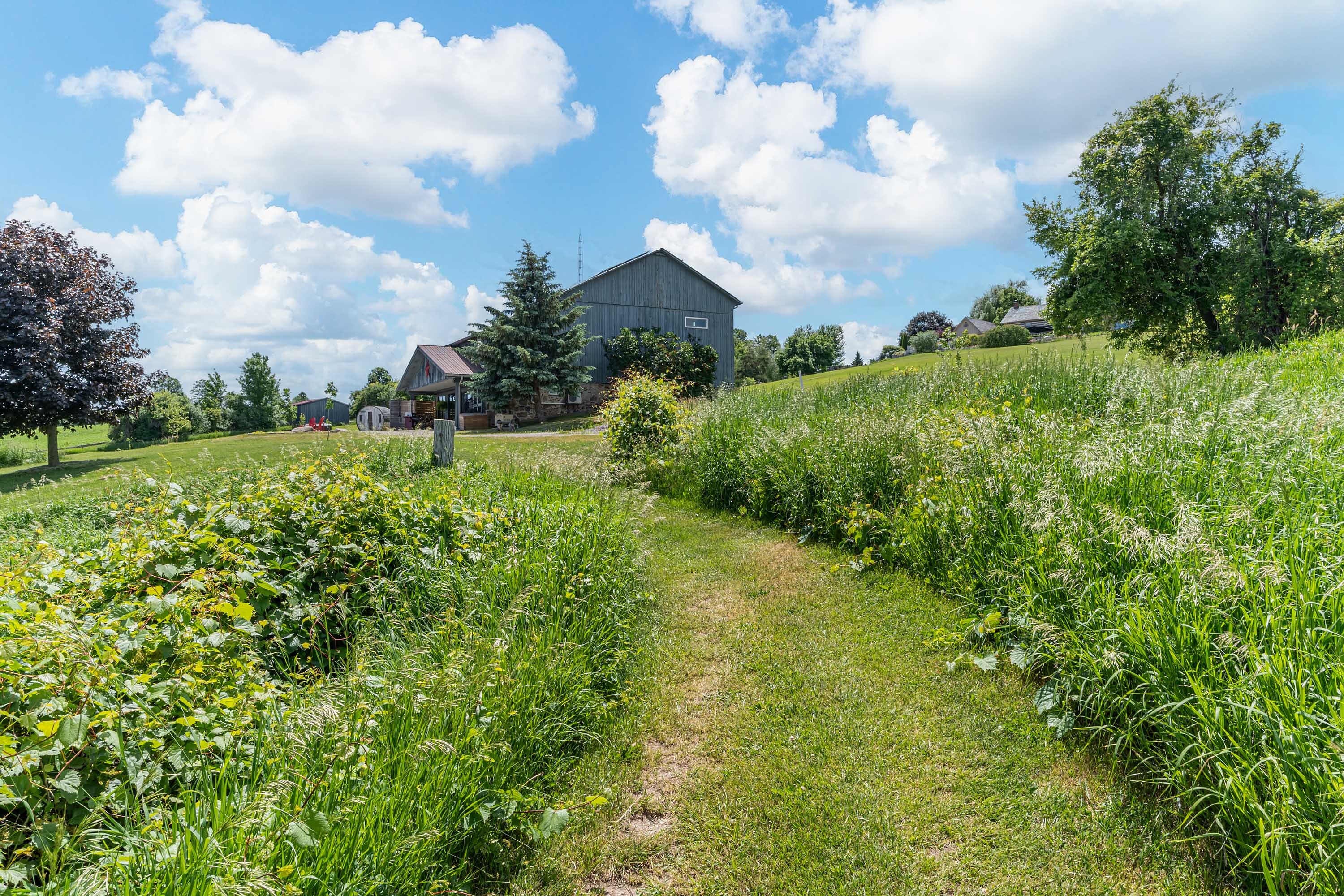  Pond Hill Farm - 物件實景