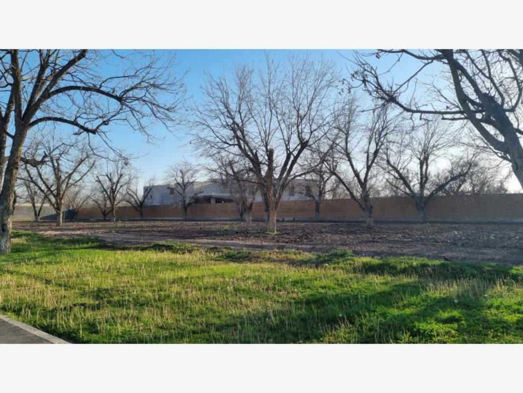 BUFALOS, Torreón, Coahuila de Zaragoza, 27105, Mexico, 1 Bedroom Bedrooms, ,Residential,For Sale,BUFALOS,1235171