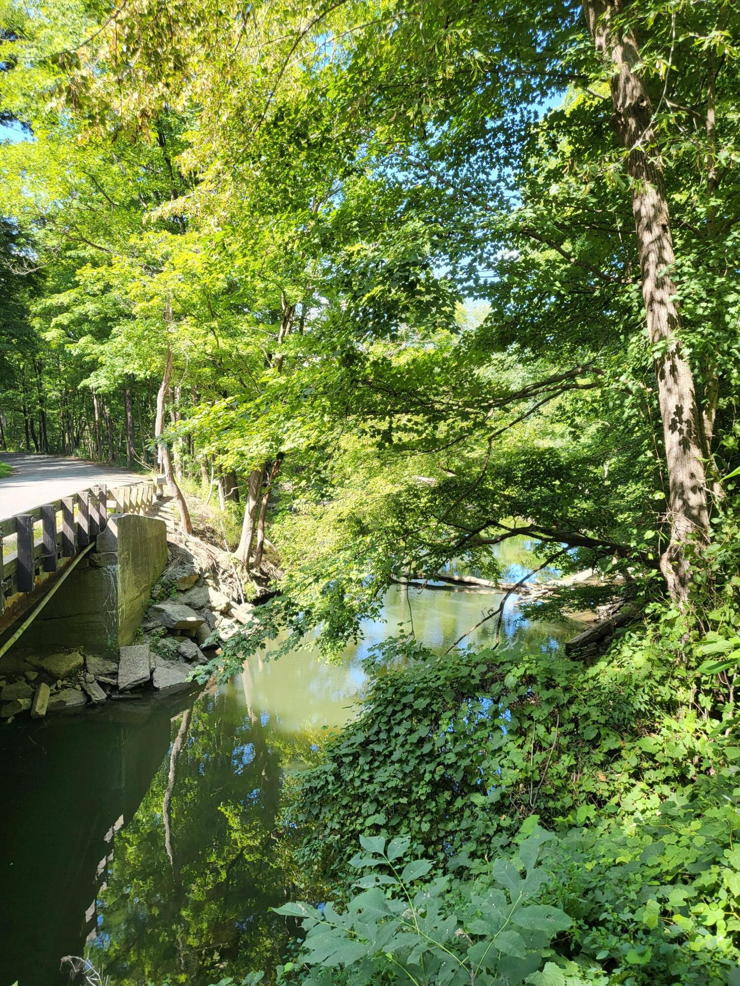 Union Pier, Michigan, 49129, United States, ,Land,For Sale,1988293