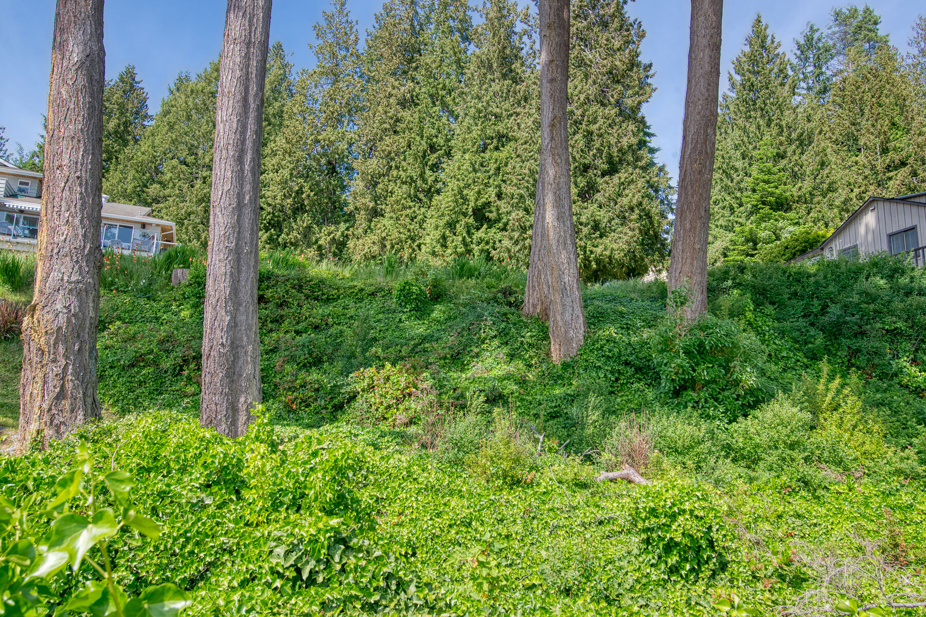  Sechelt, Sunshine Coast - 物件實景