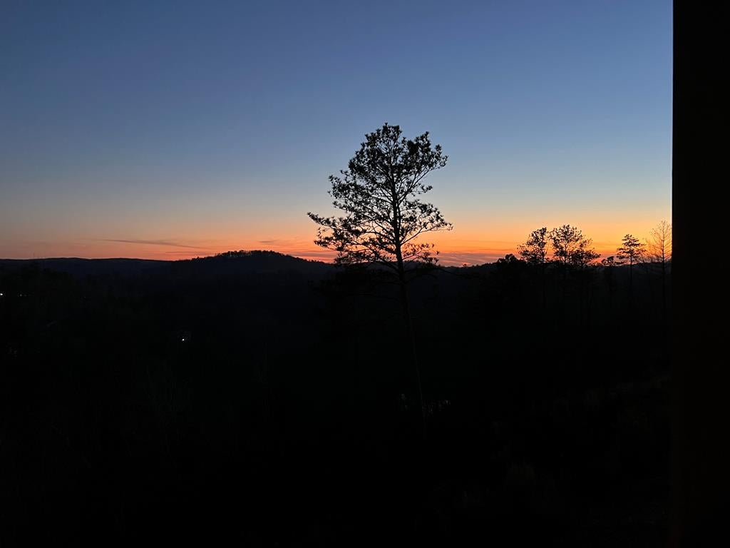 Ellijay, Georgia, 30540, United States, 3 Bedrooms Bedrooms, ,3 BathroomsBathrooms,Residential,For Sale,2003532