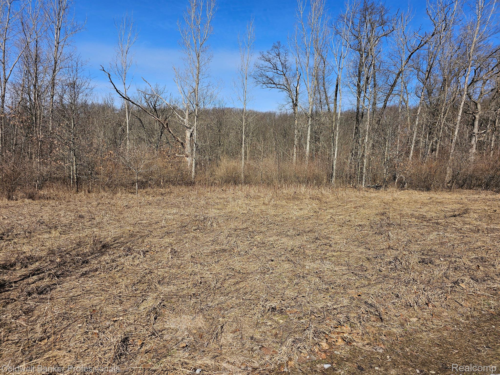 Metamora, Michigan, 48455, United States, ,Land,For Sale,1736755