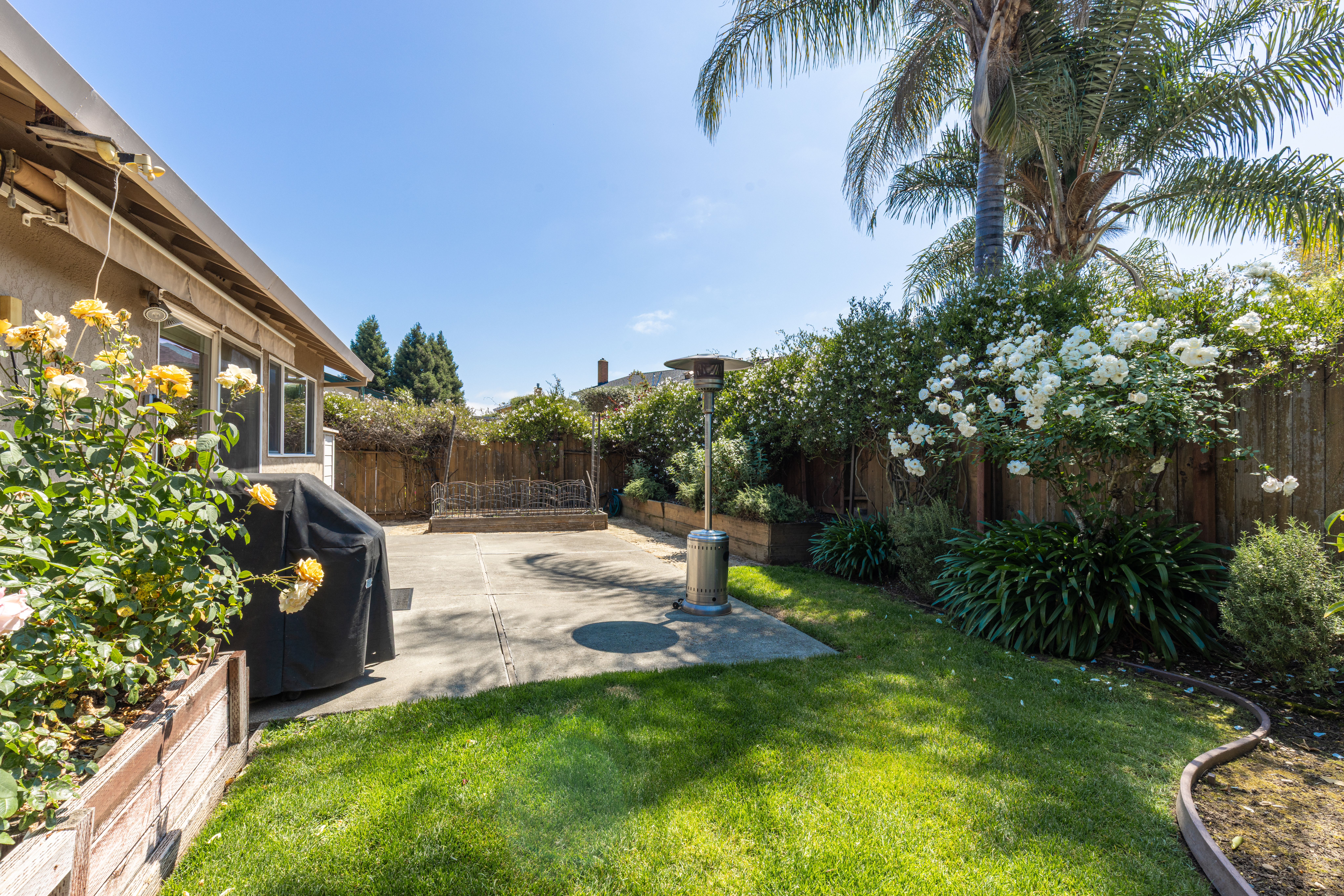  Thoughtfully Updated North Napa Home - 物件實景