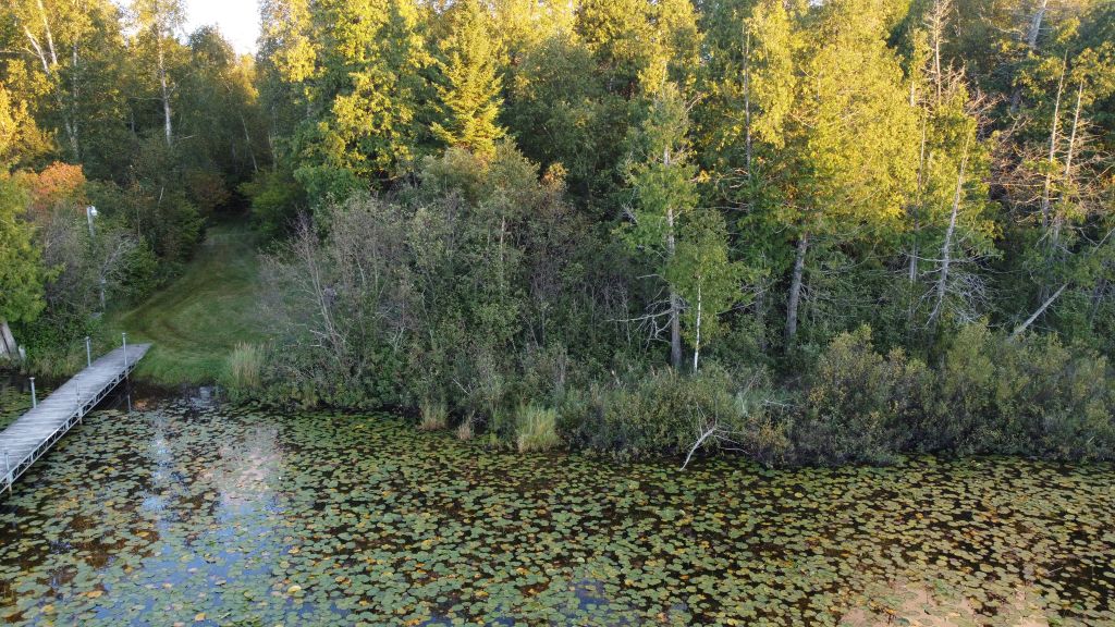 Marcell, Minnesota, 56657, United States, 2 Bedrooms Bedrooms, ,Residential,For Sale,1976347