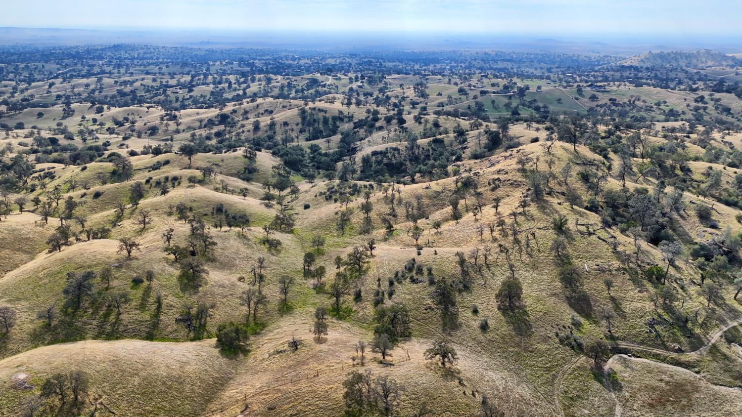 Coarsegold, California, 93614, United States, ,Residential,For Sale,2006211