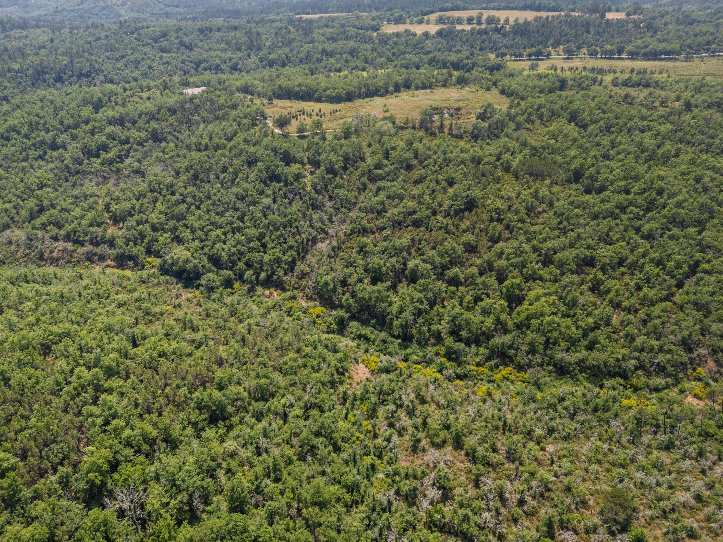  Organic estate with vineyard potential and panoramic views, over 44 Hectares in… - 物件實景